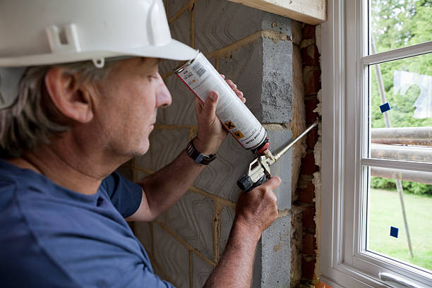 Best Professional Insulation Contractor  in Windham, OH